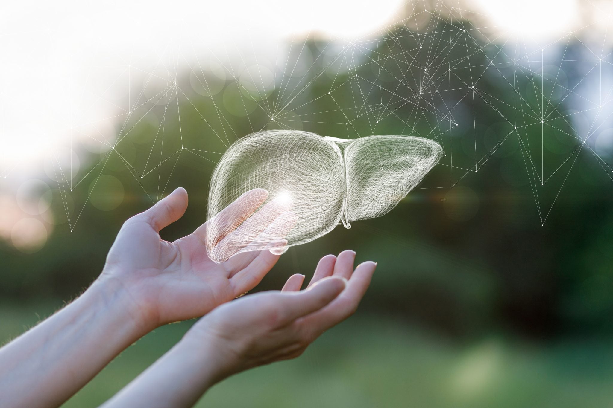 Liver Health: Longevity’s Hidden Hero in a Life Well-Lived!