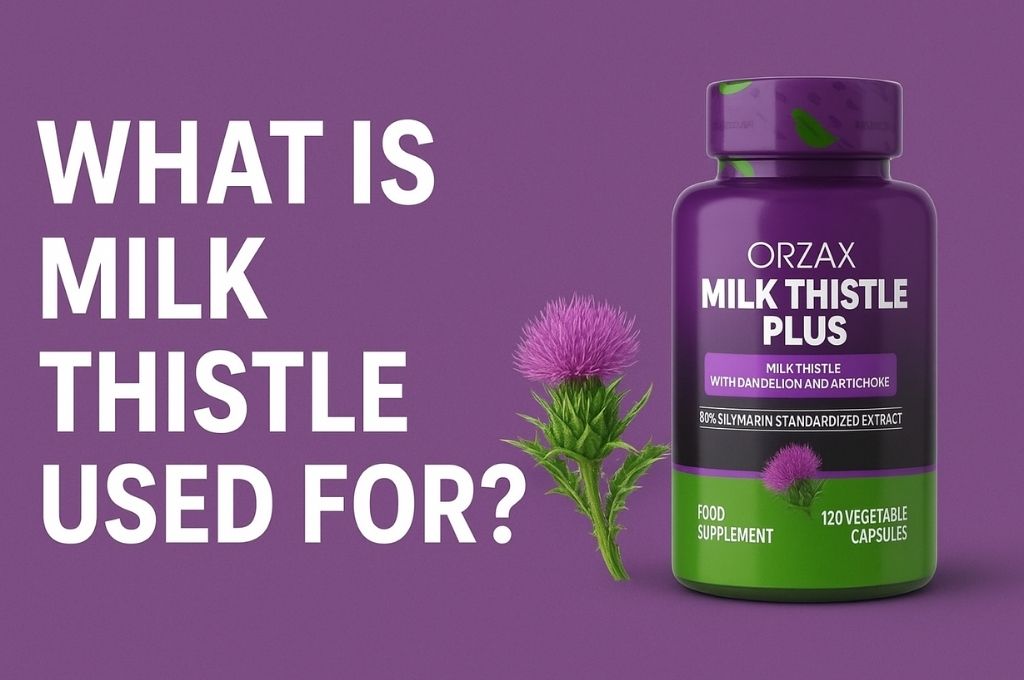 What is milk thistle used for?